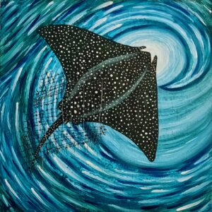 Stingray