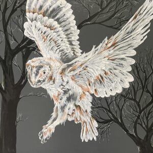 Night Owl