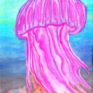 Jellyfish Litternest